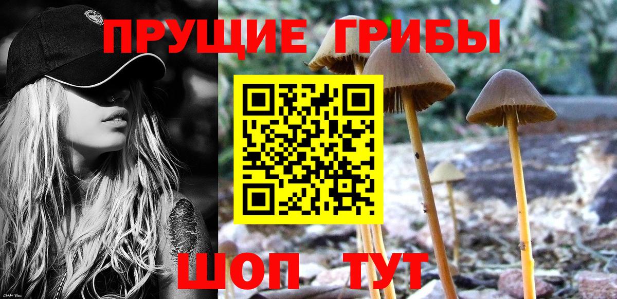 Губкин  Галлюциногенные грибы мухоморы  Вход с VPN  Псилоцибиновые грибы мицелий 