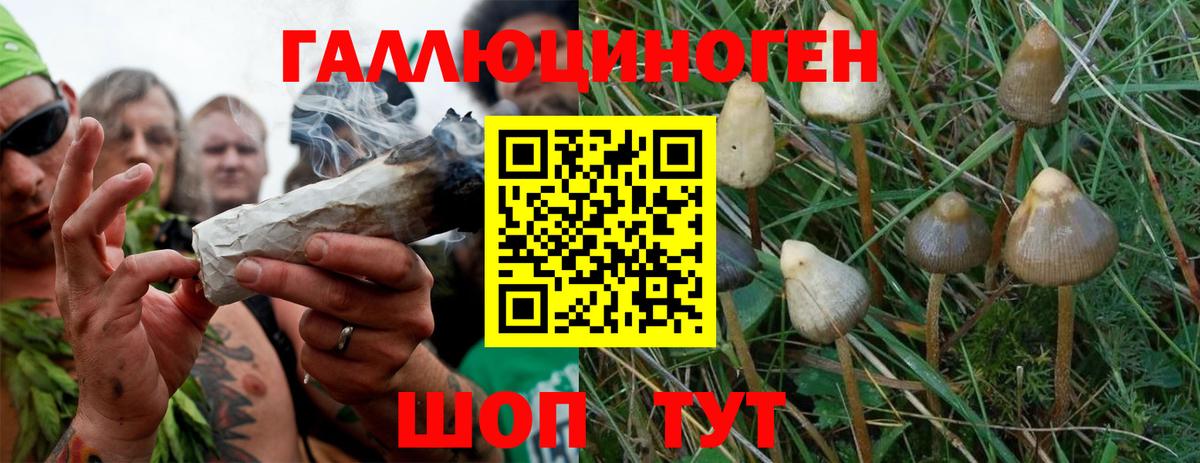 Псилоцибиновые грибы Magic Shrooms Губкин